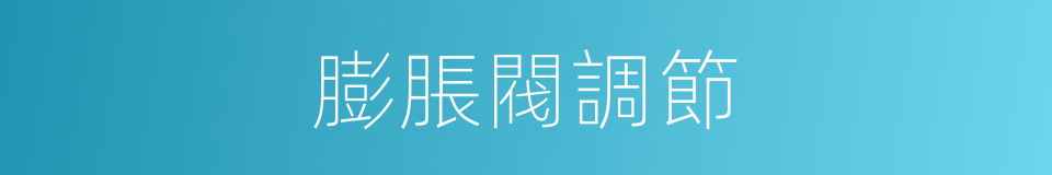 膨脹閥調節的同義詞