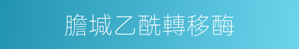 膽堿乙酰轉移酶的同義詞