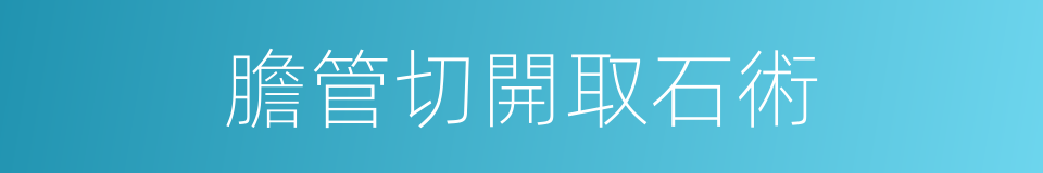 膽管切開取石術的同義詞