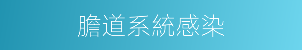 膽道系統感染的同義詞