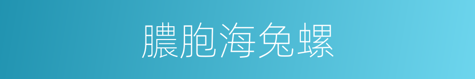 膿胞海兔螺的同義詞