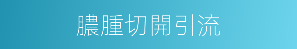 膿腫切開引流的同義詞