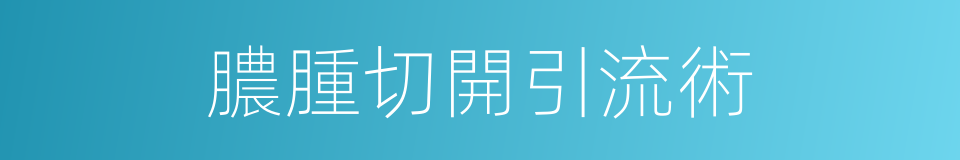 膿腫切開引流術的同義詞