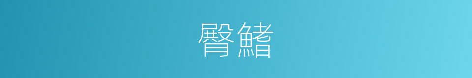 臀鰭的意思