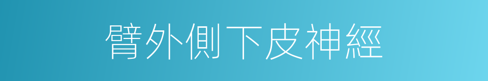 臂外側下皮神經的同義詞