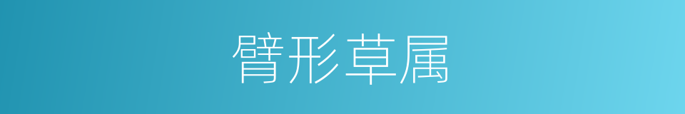 臂形草属的同义词