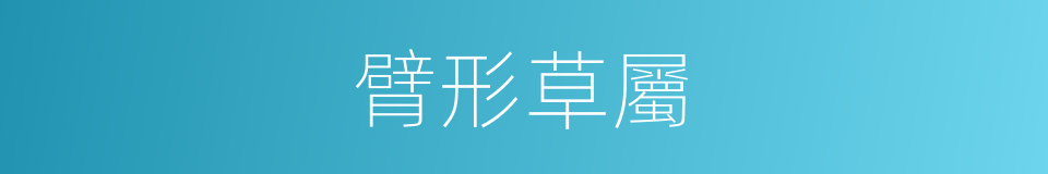 臂形草屬的同義詞
