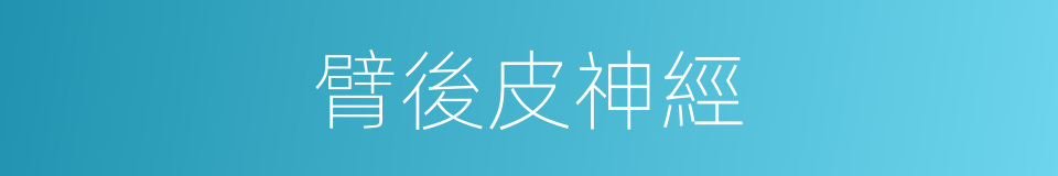 臂後皮神經的同義詞