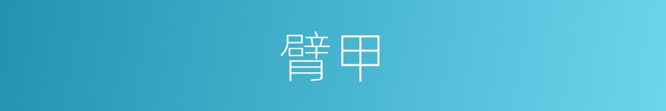 臂甲的意思