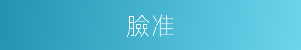 臉准的同義詞