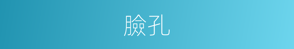 臉孔的意思