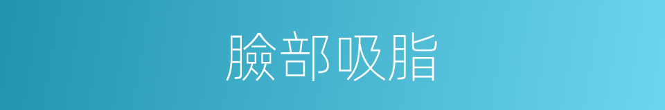 臉部吸脂的同義詞