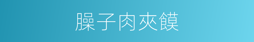 臊子肉夾饃的同義詞