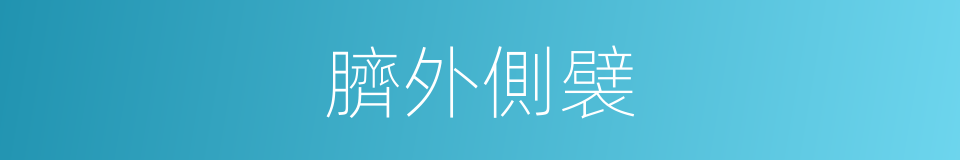 臍外側襞的同義詞