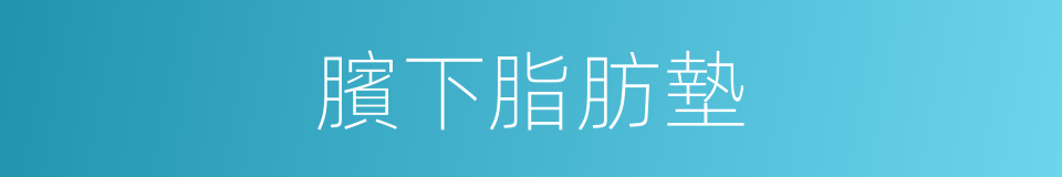 臏下脂肪墊的同義詞
