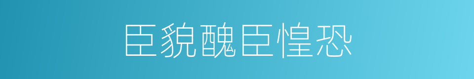 臣貌醜臣惶恐的同義詞