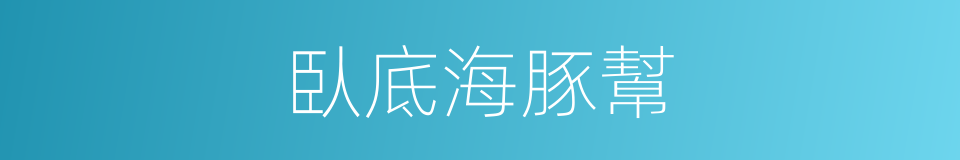 臥底海豚幫的同義詞