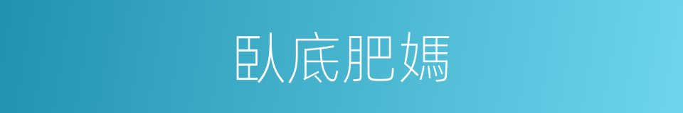 臥底肥媽的同義詞