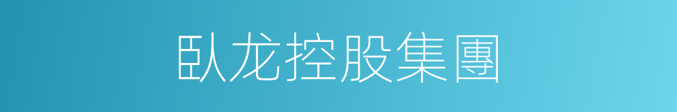 臥龙控股集團的同義詞