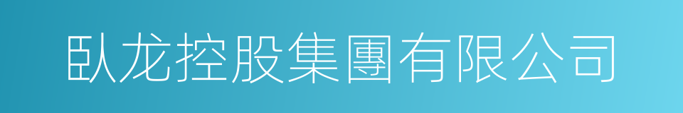臥龙控股集團有限公司的同義詞
