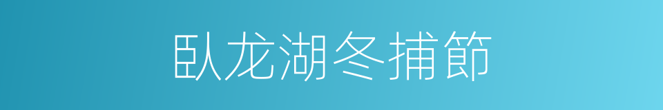 臥龙湖冬捕節的同義詞