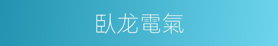 臥龙電氣的同義詞