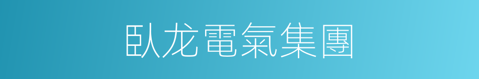 臥龙電氣集團的同義詞