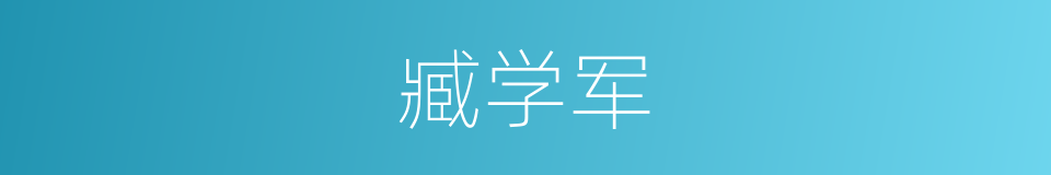 臧学军的同义词
