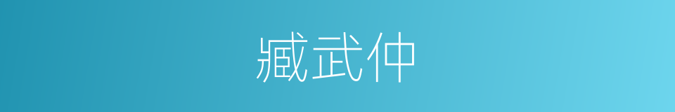 臧武仲的同义词