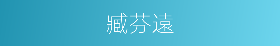 臧芬遠的同義詞