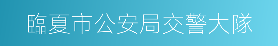 臨夏市公安局交警大隊的同義詞