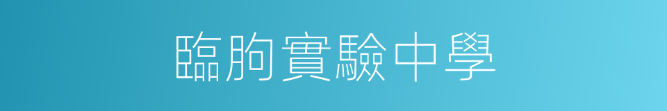 臨朐實驗中學的同義詞