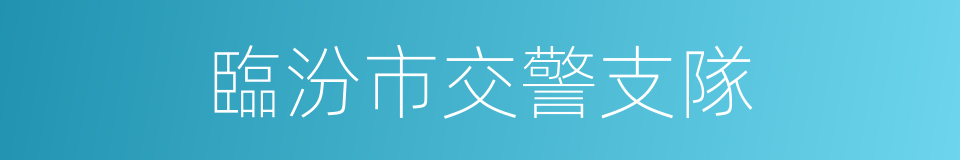臨汾市交警支隊的同義詞