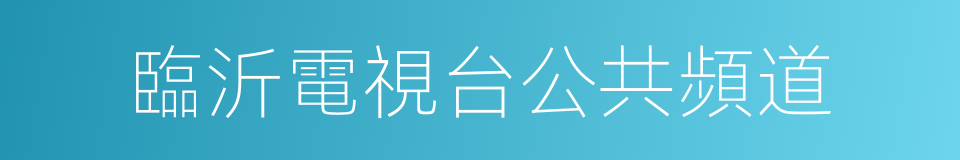 臨沂電視台公共頻道的同義詞