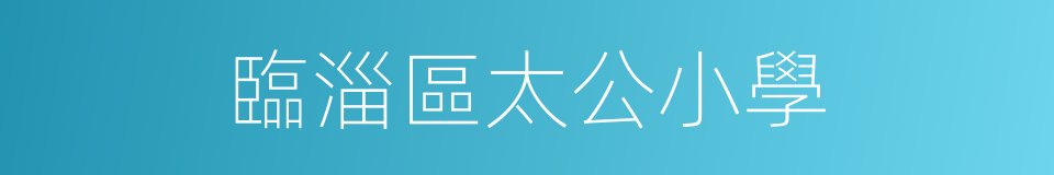 臨淄區太公小學的同義詞