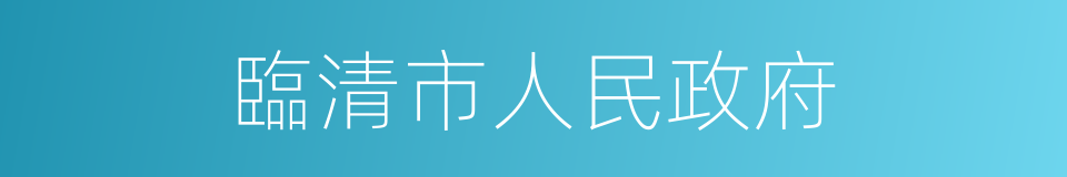 臨清市人民政府的同義詞