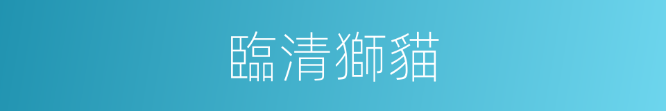 臨清獅貓的同義詞