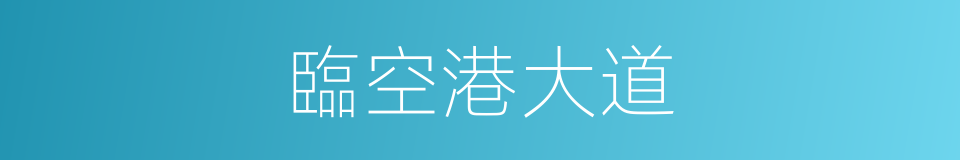臨空港大道的同義詞