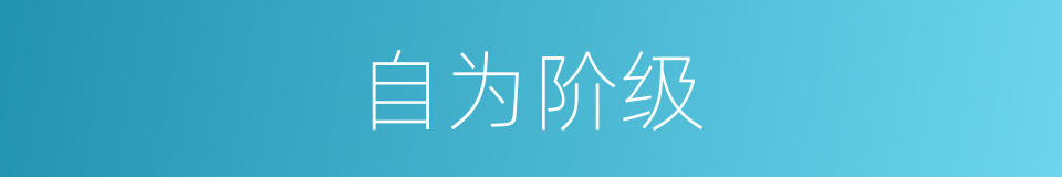 自为阶级的意思