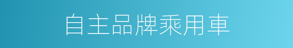 自主品牌乘用車的同義詞