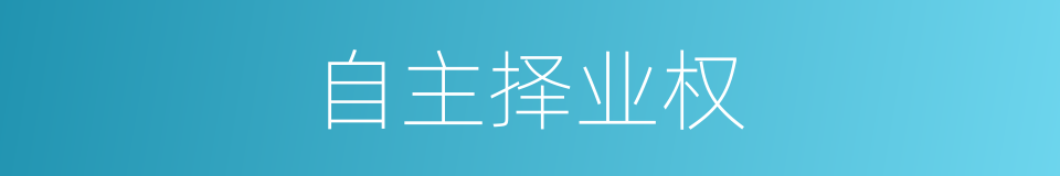自主择业权的同义词