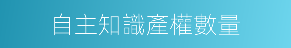 自主知識產權數量的同義詞