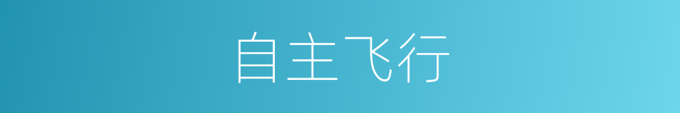 自主飞行的同义词