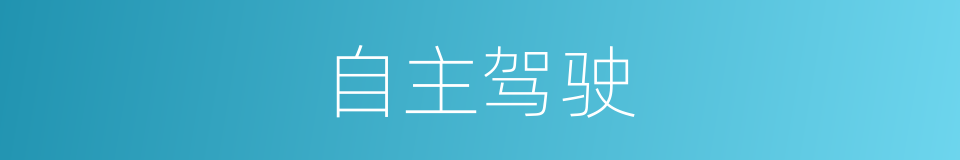 自主驾驶的同义词