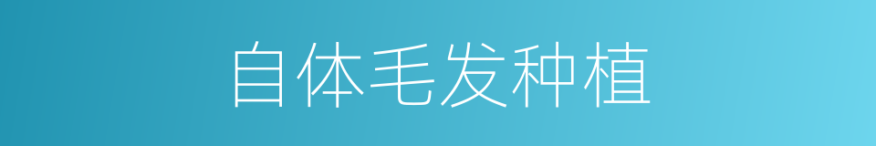 自体毛发种植的同义词