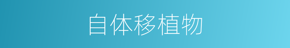 自体移植物的同义词