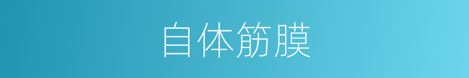 自体筋膜的同义词