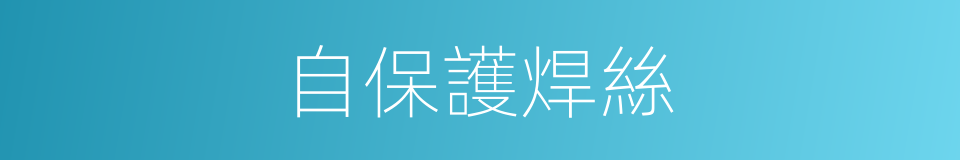 自保護焊絲的同義詞