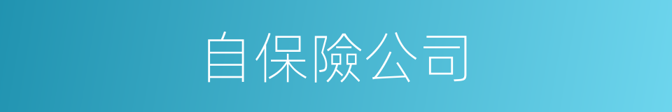 自保險公司的同義詞