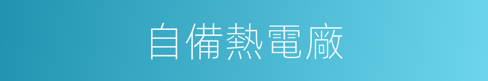 自備熱電廠的同義詞